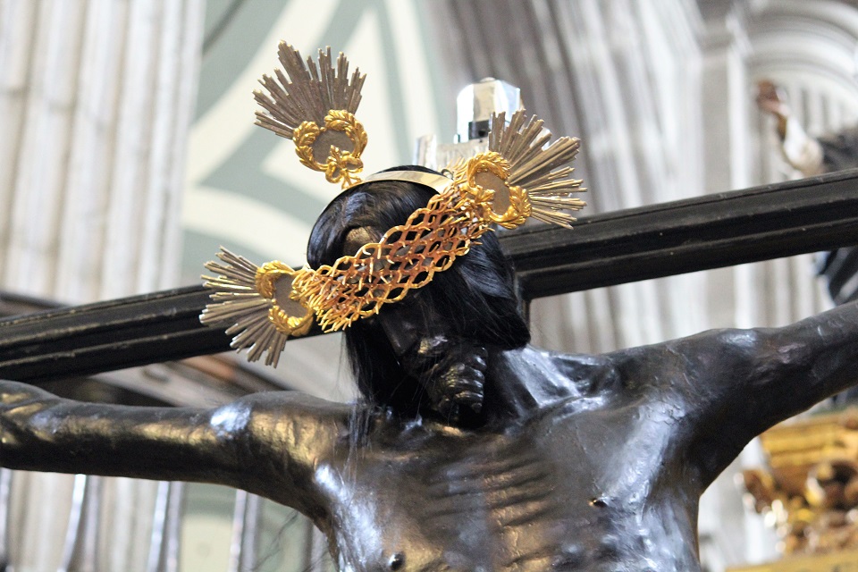 El Señor del Veneno – EL COLOR DE LA FE