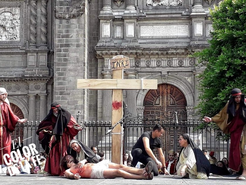 received_675446269539891-01