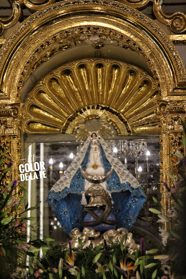 20190405234158_IMG_4901-01