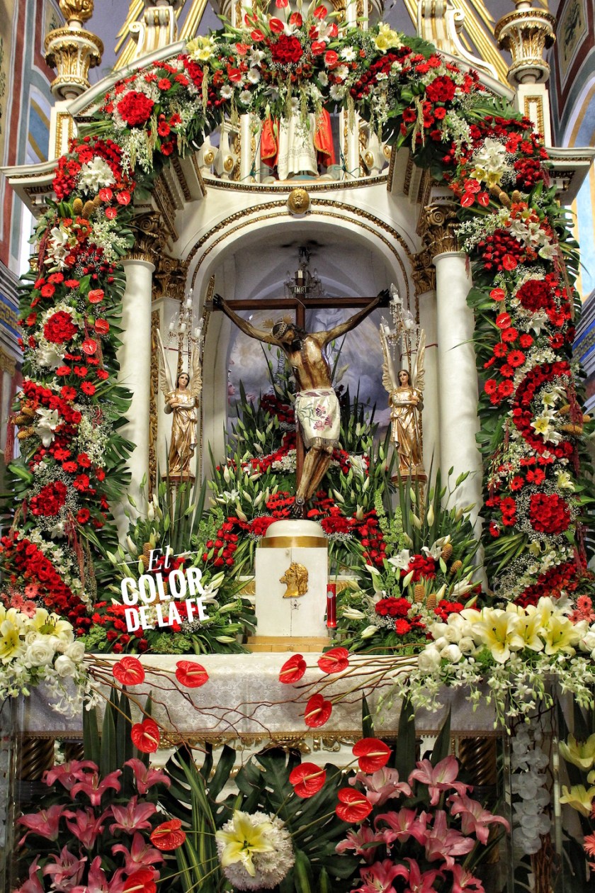 20190414174620_IMG_6498-01